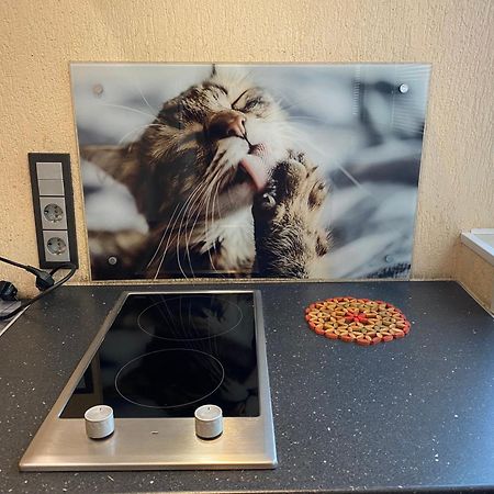 Cat Garden Superior Apartments Riga Luaran gambar