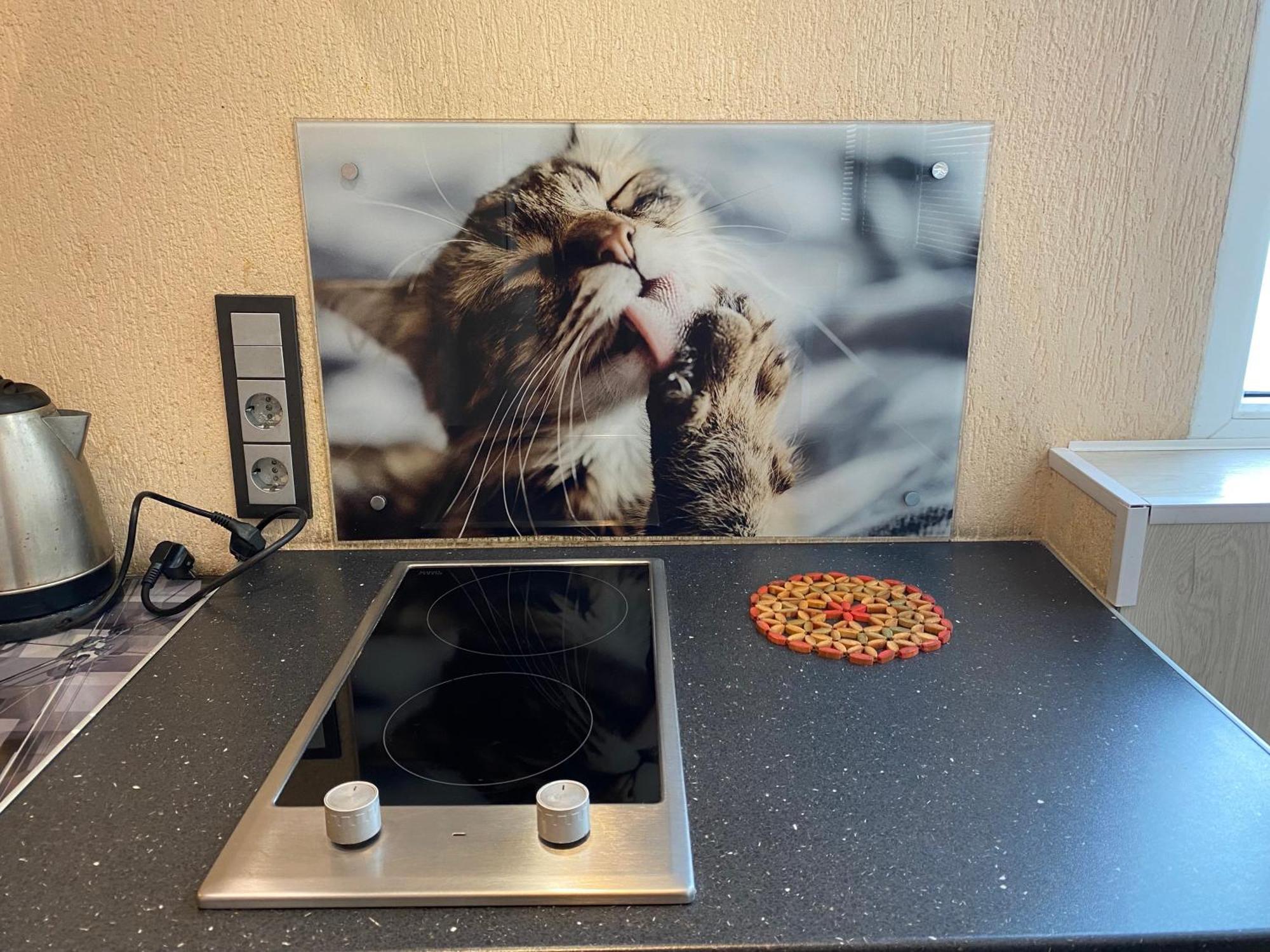 Cat Garden Superior Apartments Riga Luaran gambar